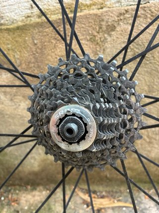 Rueda Trasera Mavic