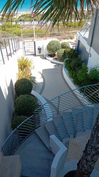 Jardinero Profesional