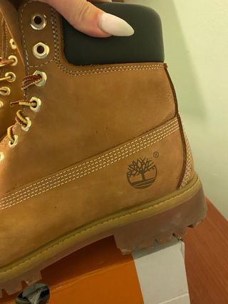 Timberland Stivali Uomo Beige/Marrone