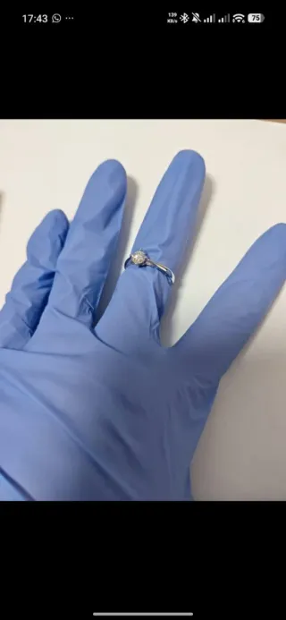 Anillo Plata de Ley