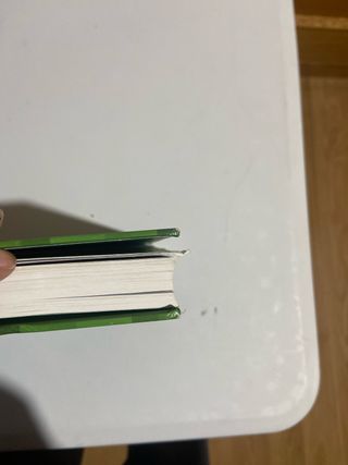 Minecraft. Diario de un aldeano pringao