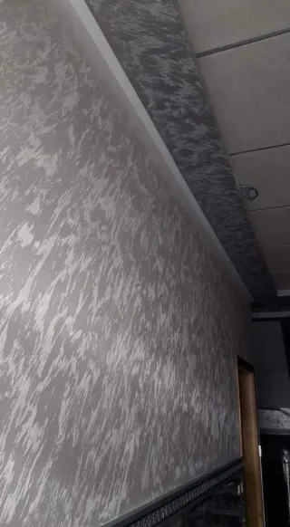 Servicios de pintura profesional