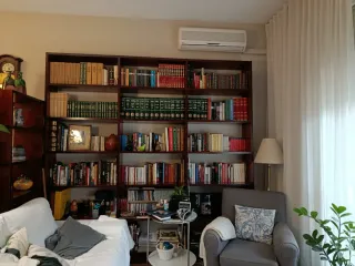 Librería grande de madera oscura