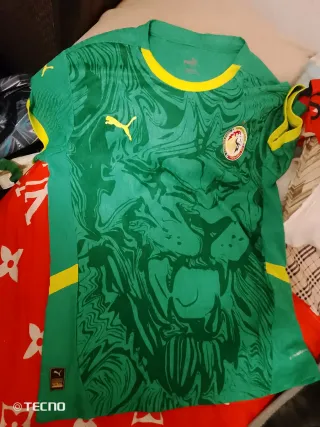 Camiseta Puma Senegal Verde y Amarillo