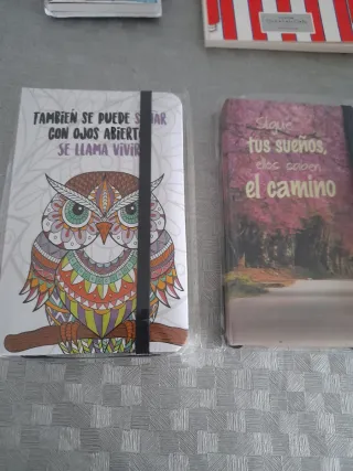 Lote de 7 libretas y agenda