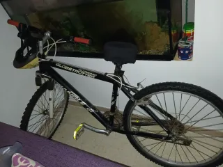 Bicicleta de Montaña Globetrotter