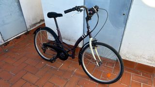 Bicicleta Urbana Morada