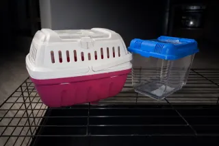 Trasportini per criceti/roditori rosa e trasparenti