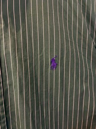 Camicia Ralph Lauren Verde a Righe