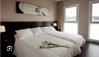 Alquiler habitación