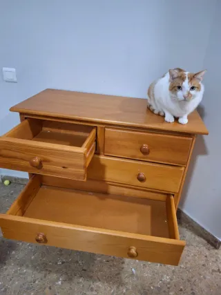 Conjunto de muebles de madera