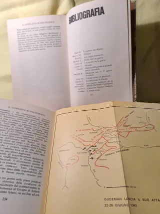 Libri da collezione "il conflitto russo-tedesco