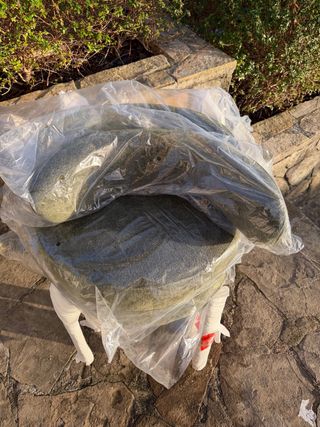 Pack 2 Sillas Sklum NUEVAS