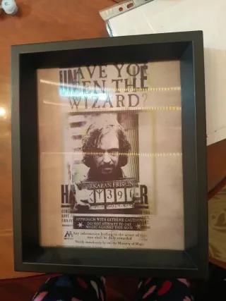 Cuadro Harry Potter 3D