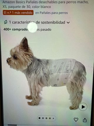 Pañales para perro macho