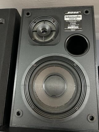 Altavoces Bose Interaudio 2000 XL