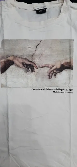 Lote Ropa Variada: Camisetas y Sudadera