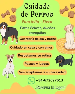 Guardería hostal 24hrs perros