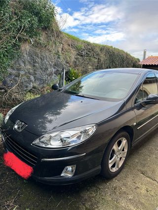 Peugeot 407 2010