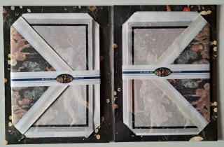 Carta da lettere Botticelli