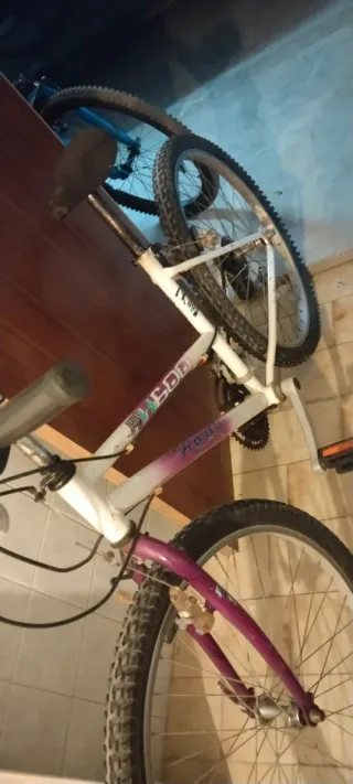 Bicicleta de montaña blanca y morada