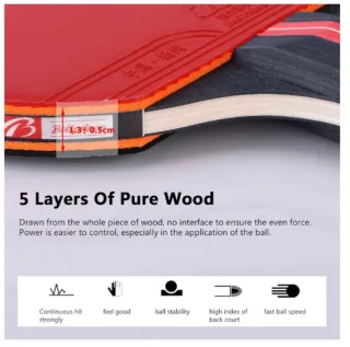 Juego 2 Raquetas PingPong y Pelotas