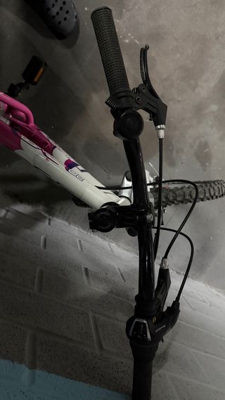 Bicicleta infantil AVIGO 20 rosa