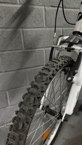 Bicicleta infantil AVIGO 20 rosa