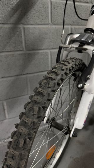 Bicicleta infantil AVIGO 20 rosa