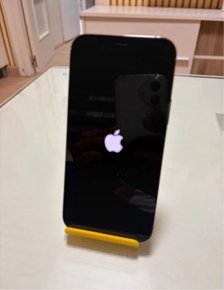 iPhone 12 Pro 256GB Grafito