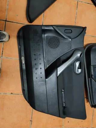 Paneles Puerta Renault Megane año 2007