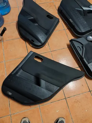 Paneles Puerta Renault Megane año 2007