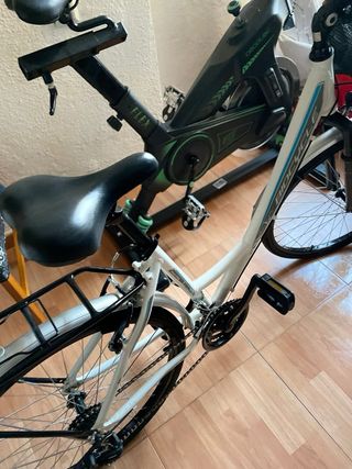 Bicicleta blanca BIOCYCLE