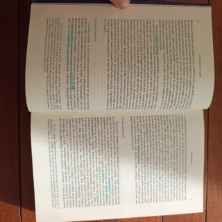 La Cultura Senza Regole: Letteratura, Spettacol...