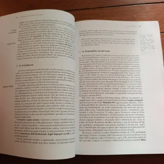 La Cultura Senza Regole: Letteratura, Spettacol...