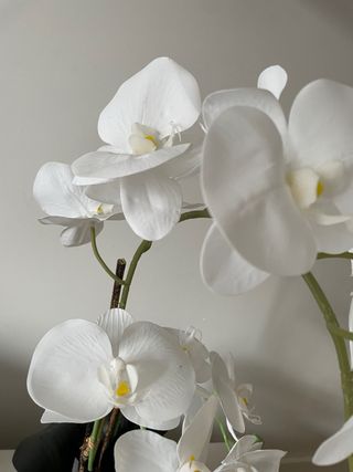 Orquídea Artificial Vaso Branco