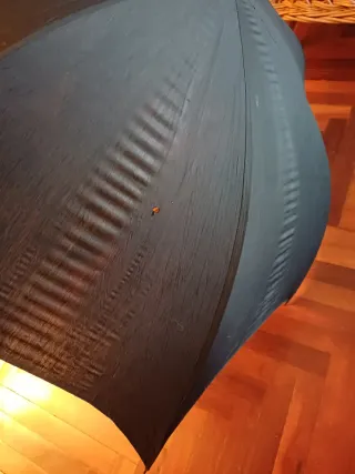 Paraguas Bastón Antiguo.