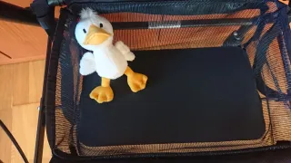 Andador Kamina para adultos