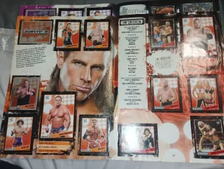 Álbum WWE Champions Sticker Collection