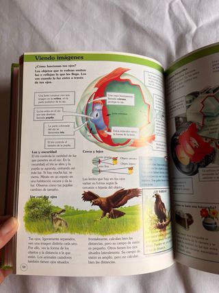 ENCICL. MUNDO QUE NOS RODEA /TODOLIBRO