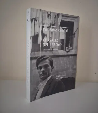 Chavales del arroyo: Biblioteca Pasolini