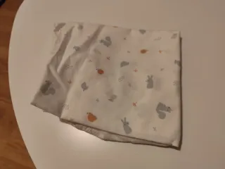 Sábanas bajeras carro y protectores