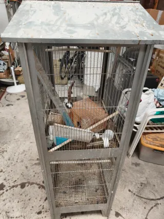 Jaula grande para pájaros con accesorios