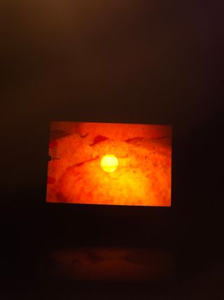 Nikon EM en excelente estado Cuerpo Solo