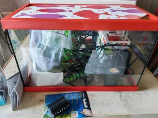 Acuario Infantil Beta Fontana Junior 20L