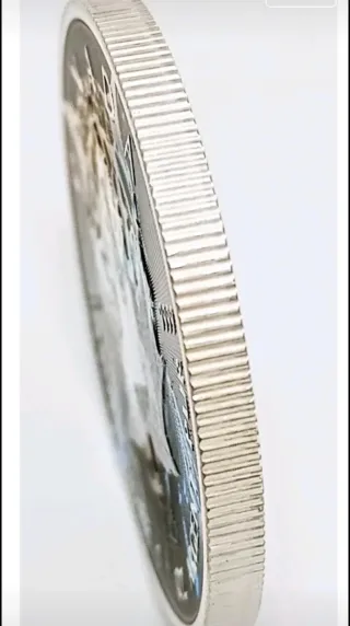 Moneda Plata 1 Onza 9999 Maple Leaf 2024