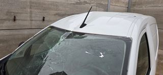 Renault Express Advance 1.5 dci 95cv 6v 2022