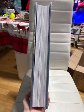 Libro O Gótico Nuevo