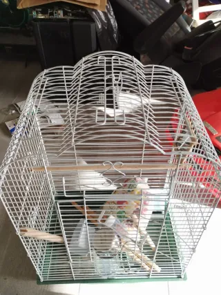 Jaula pájaro Carolina con accesorios