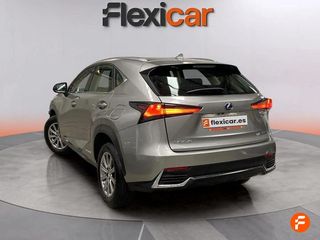 Lexus NX 2.5 300h Business 2WD